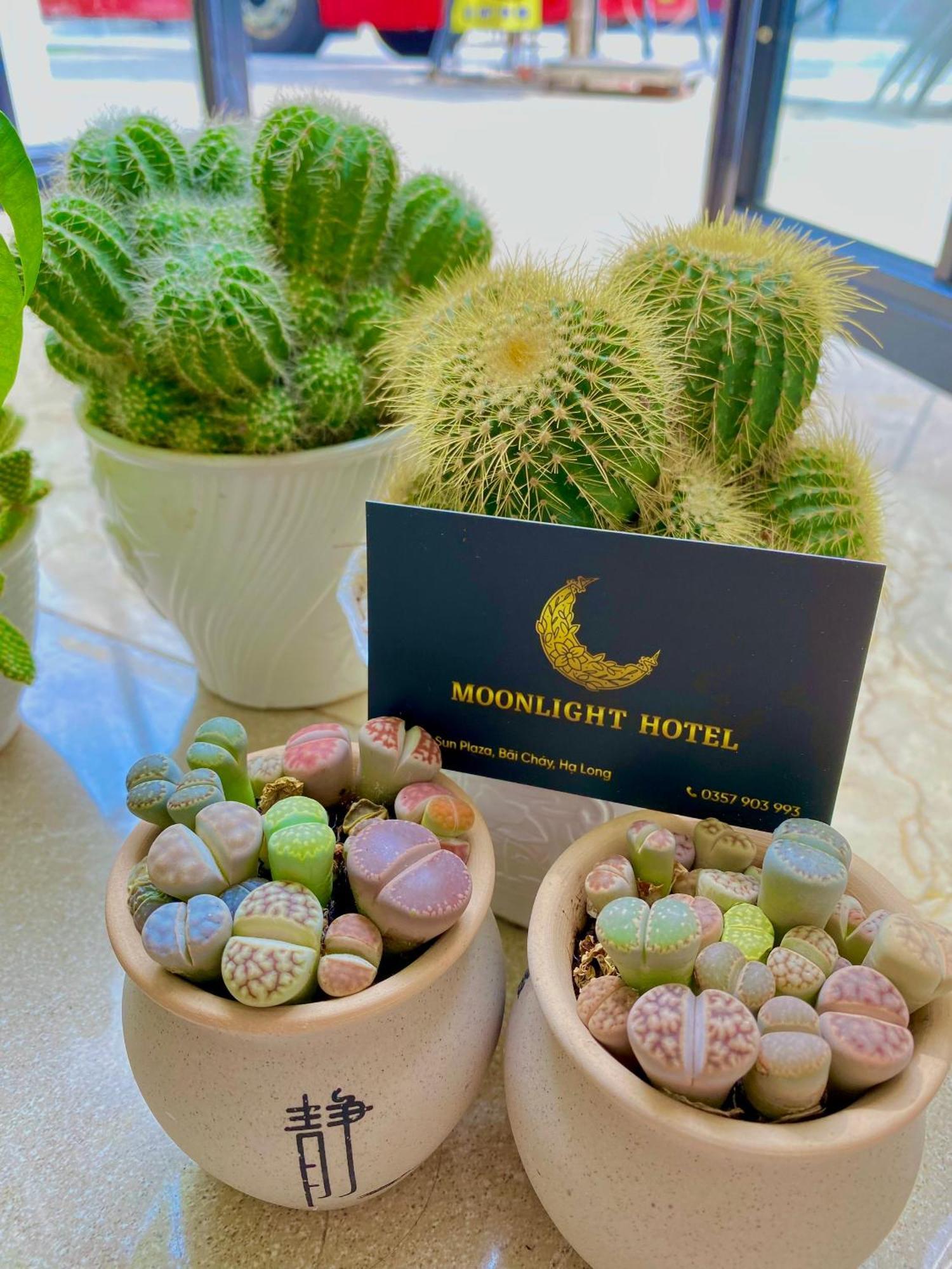 Moonlight Hotel Ha Long Luaran gambar